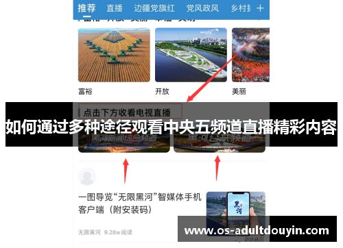 如何通过多种途径观看中央五频道直播精彩内容